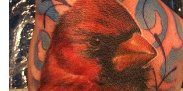 birdm4rtin's profile banner image