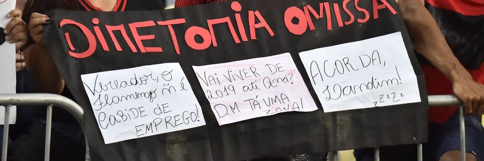 noan luz's banner