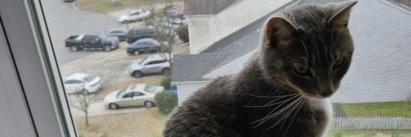 Dontl3eLasagna Profile Banner