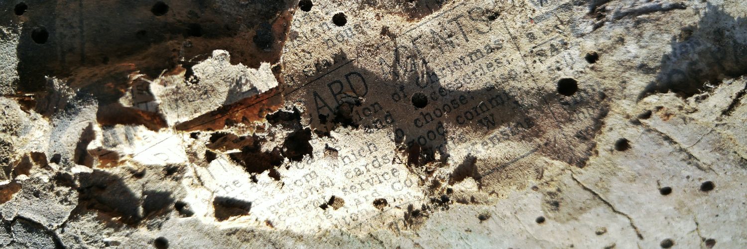 documentAurora's profile banner image