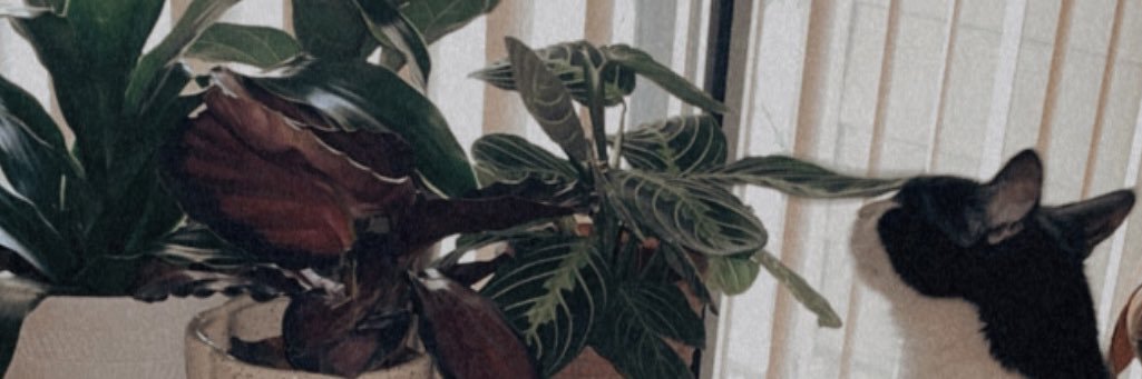ommclain's profile banner image