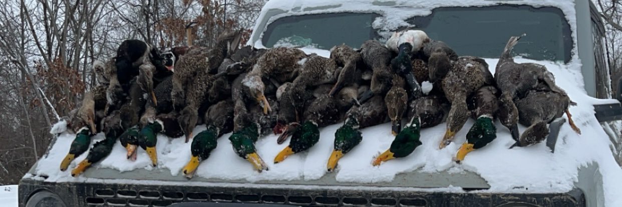 Jack Patterson banner