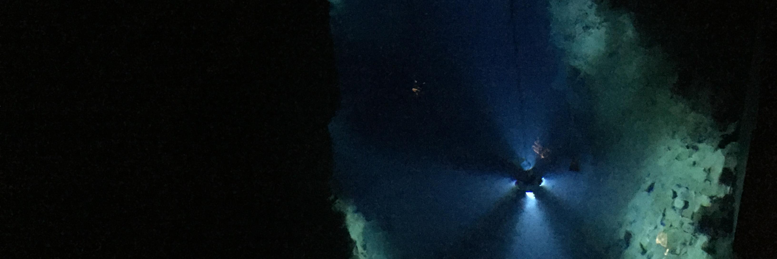 ルネ兄 banner
