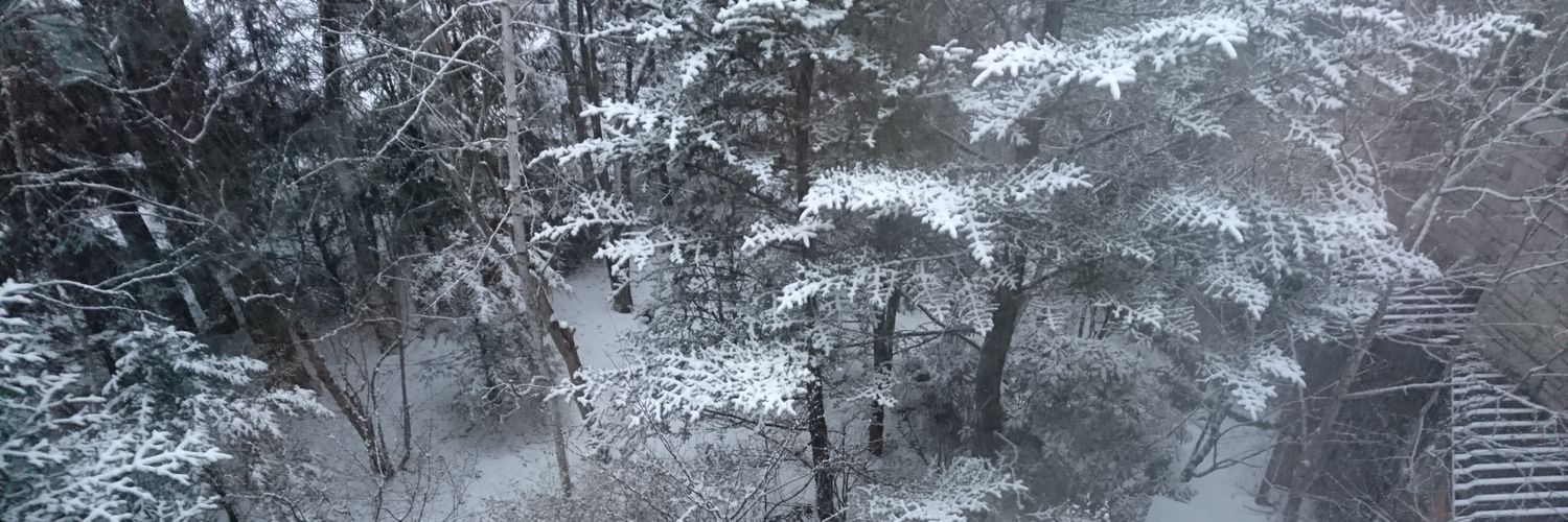 piroshikim's profile banner image