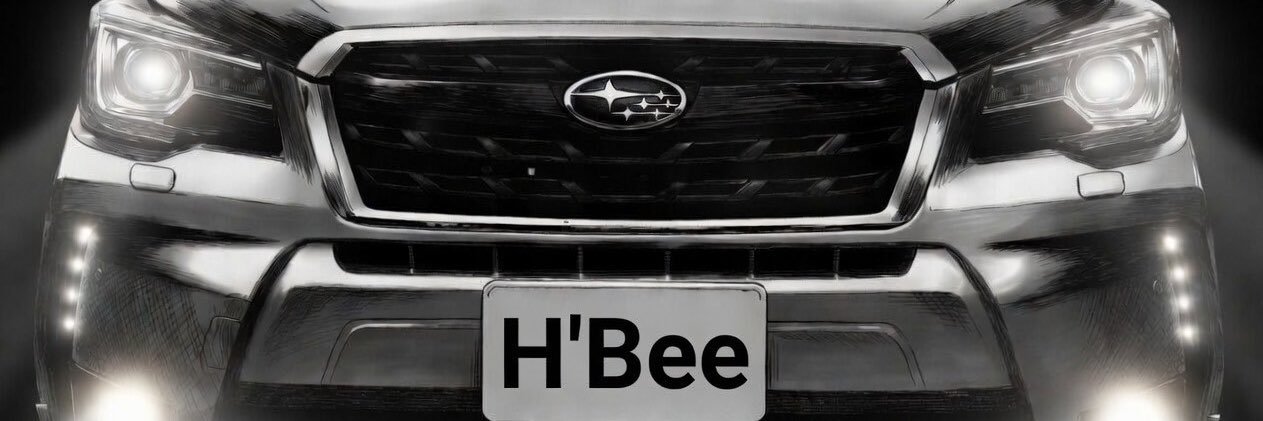 H_H_HBee's profile banner image