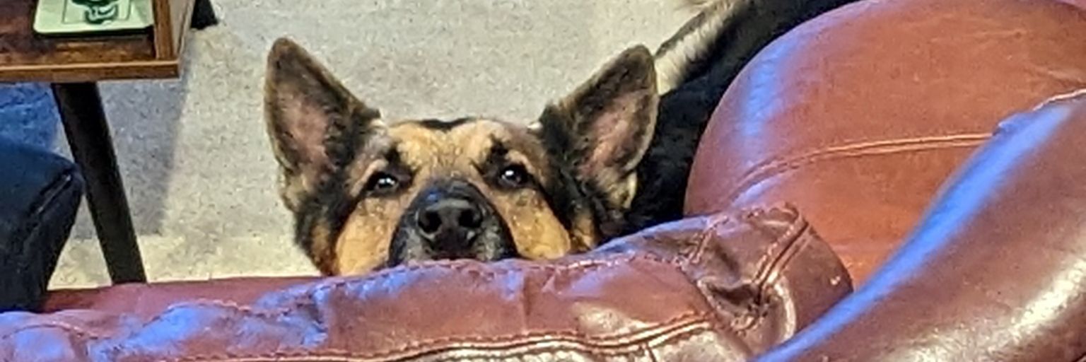 Tastyfuzzball's profile banner image