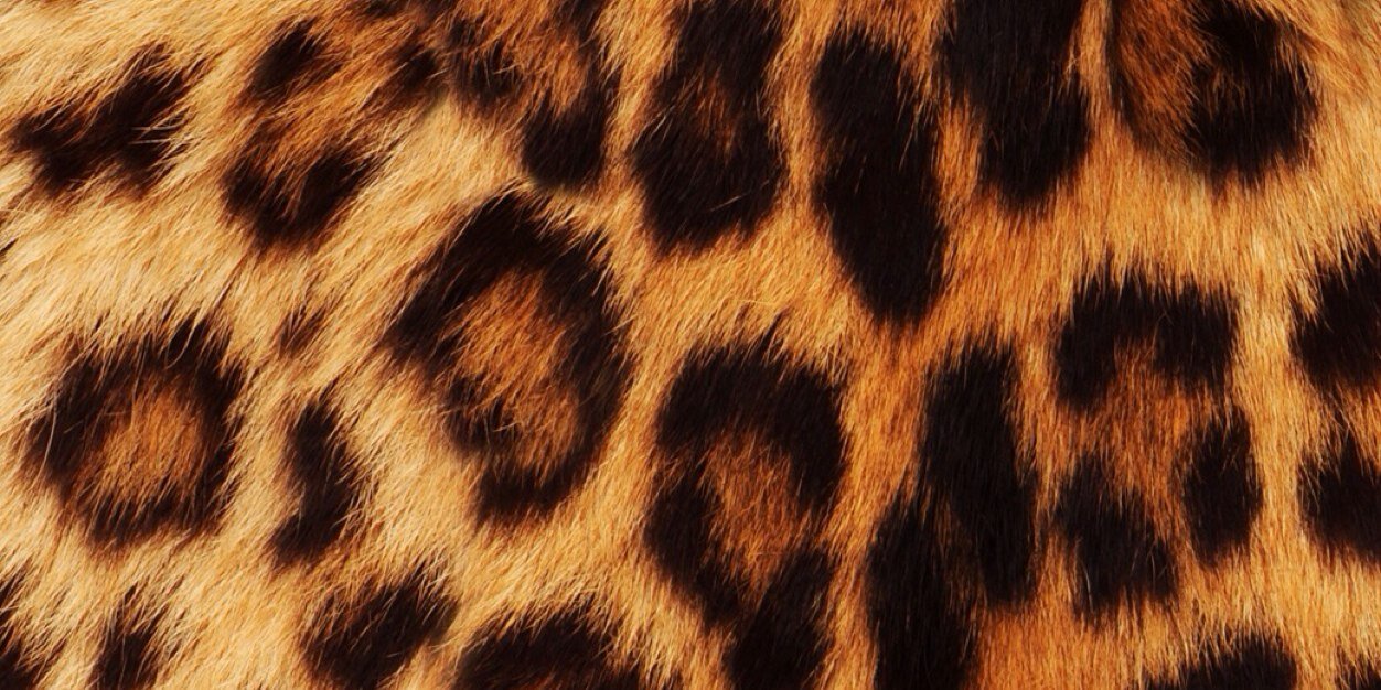 Sarisarimdz's profile banner image