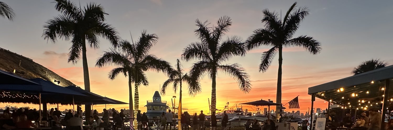 Silka 🦇🔊 banner