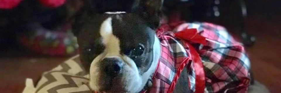 random ramblings banner