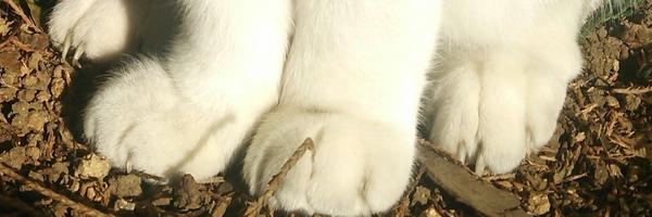 uno_n Profile Banner