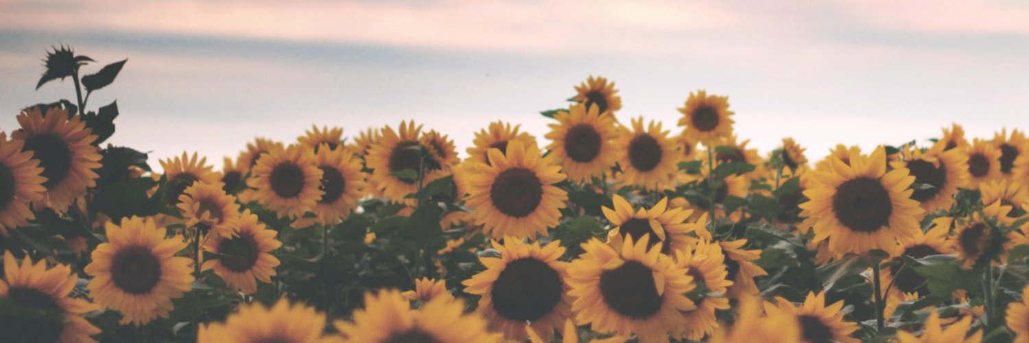 xtinaism's profile banner image