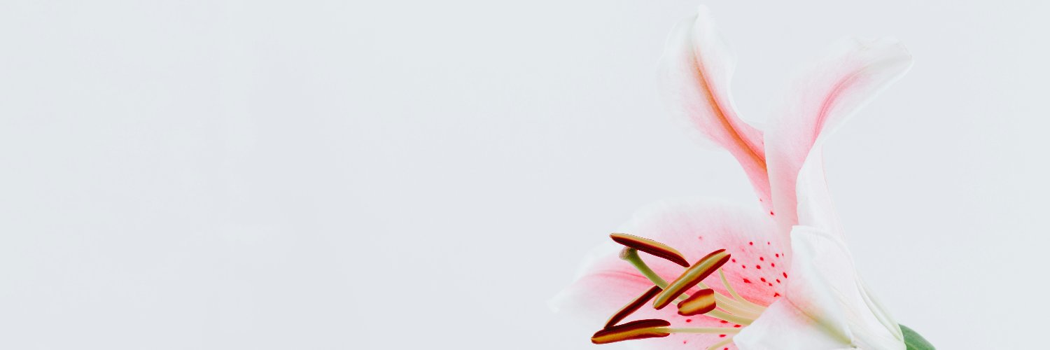 gabi banner