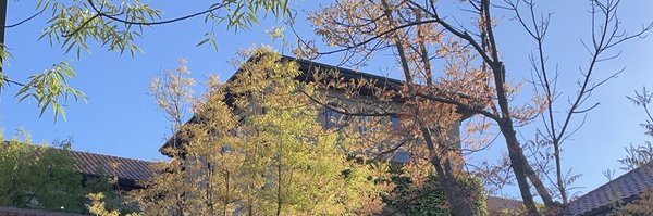 MengyuLiu96 Profile Banner