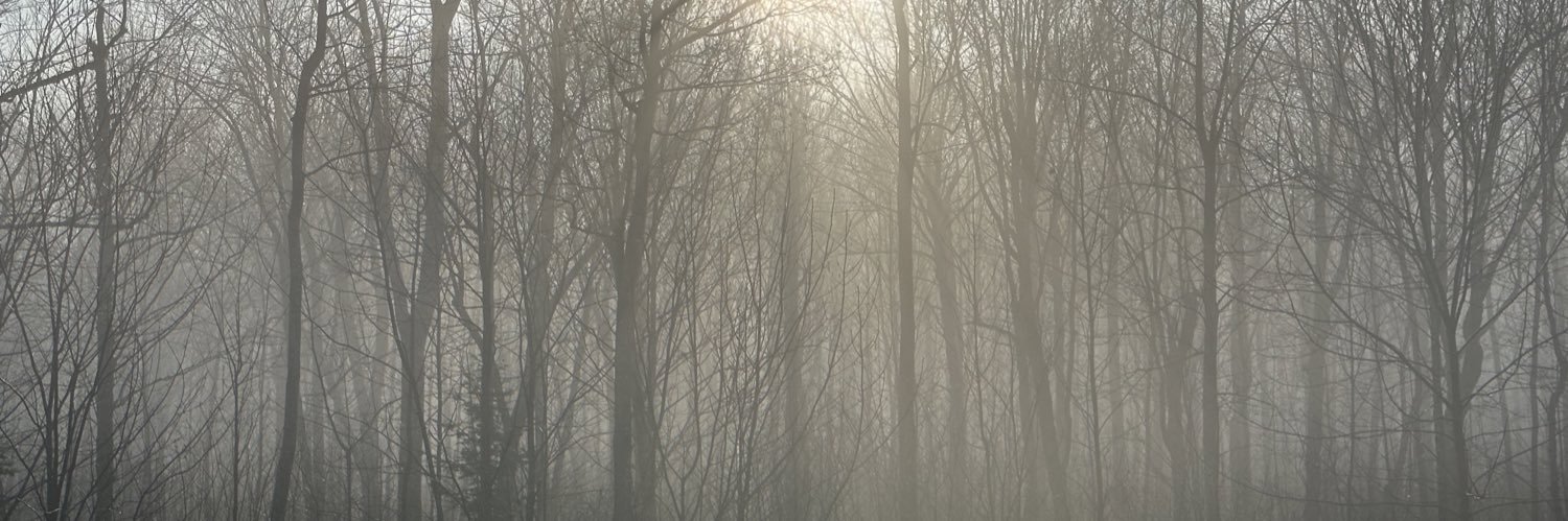 FredericDenisQC's profile banner image