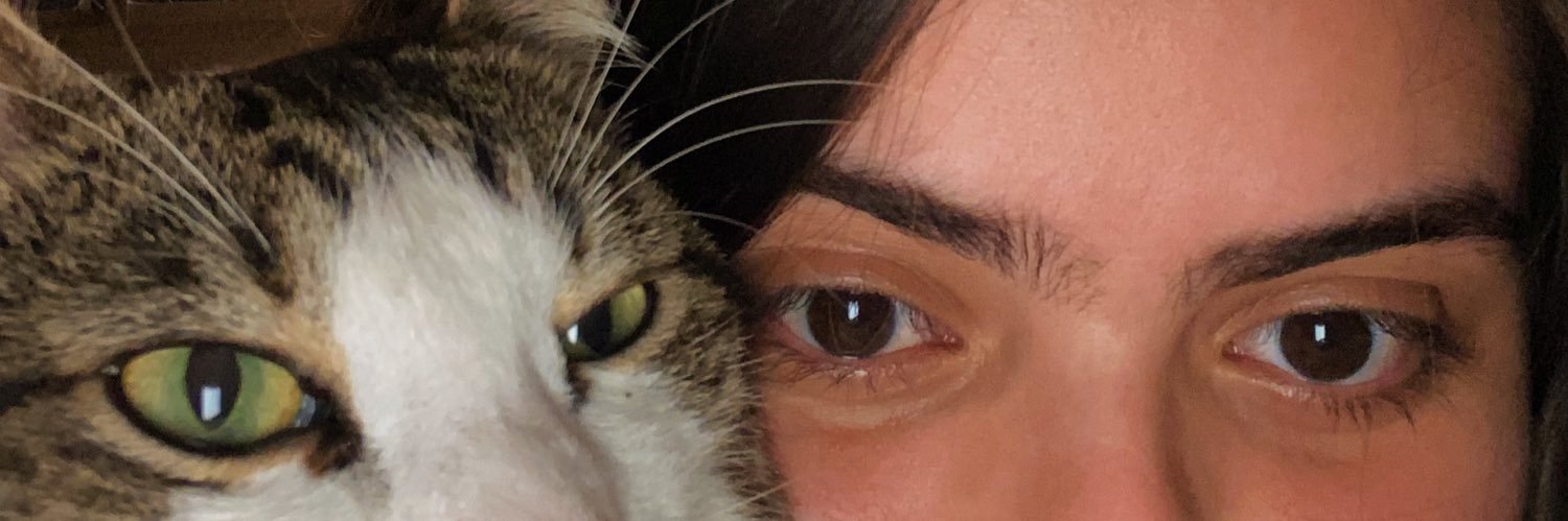 bellamottaa's profile banner image