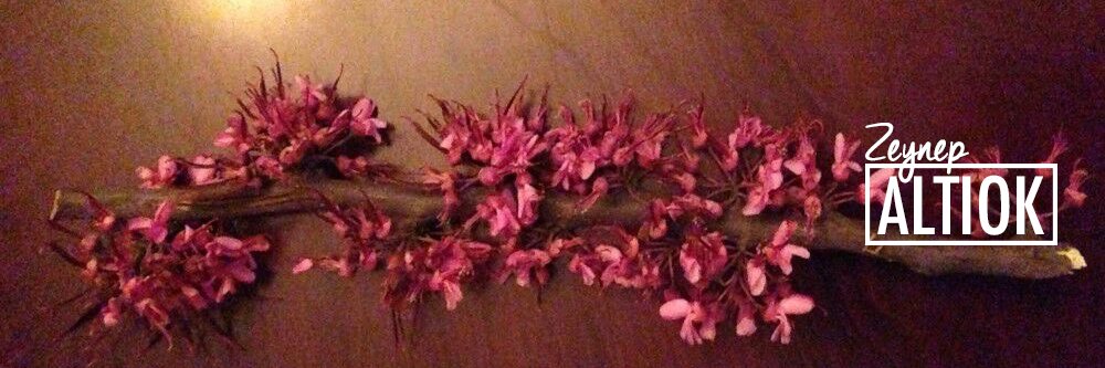 zeynep altıok akatlı banner