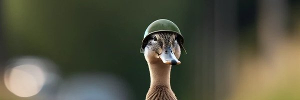 jannemanncs Profile Banner