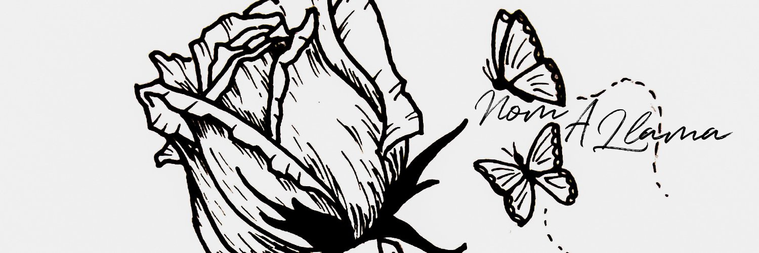 NomALlama 🦙 (On Spotify) banner