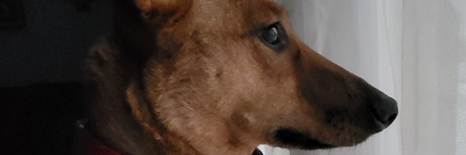 NickL3w21's profile banner image