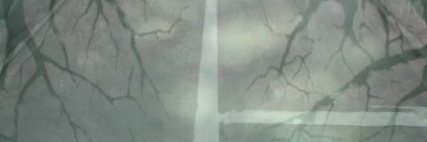 Notusotu's profile banner image
