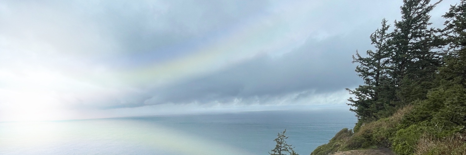 sword fan 👣 banner