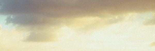 smileforme56 Profile Banner