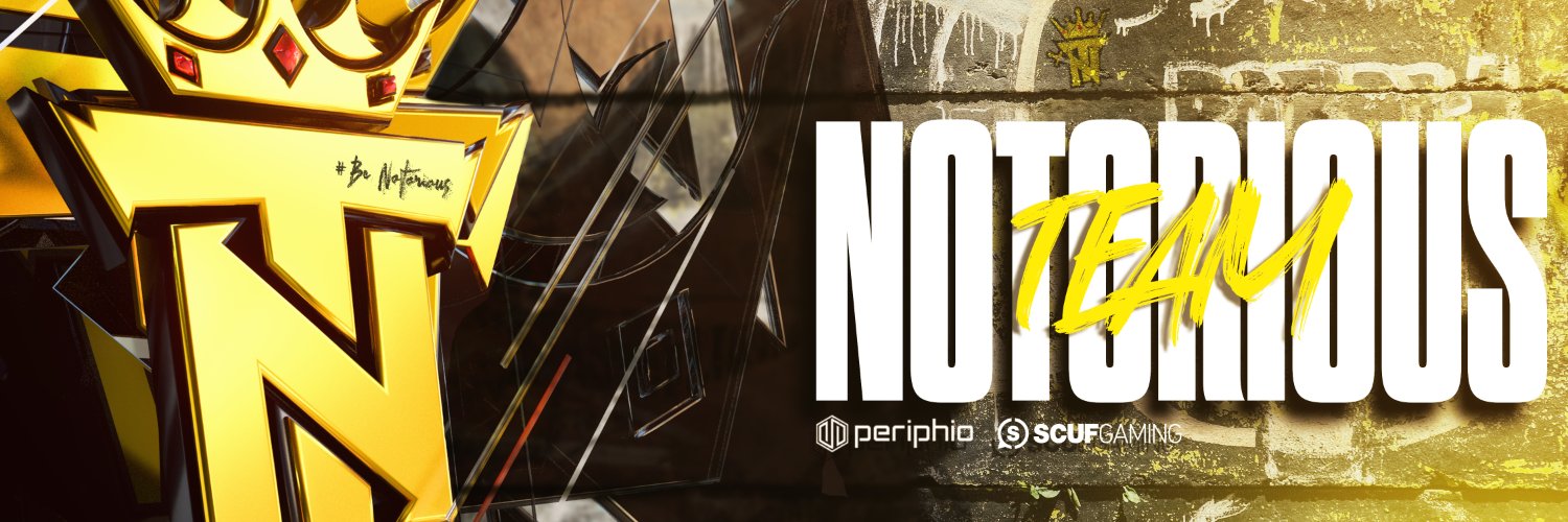 Team Notorious's banner