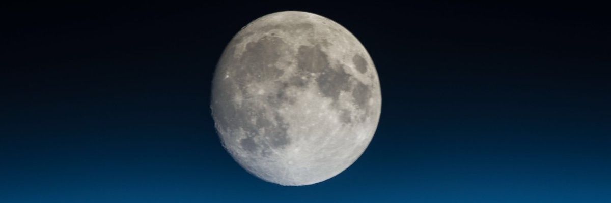 Wassini 🇺🇦 banner