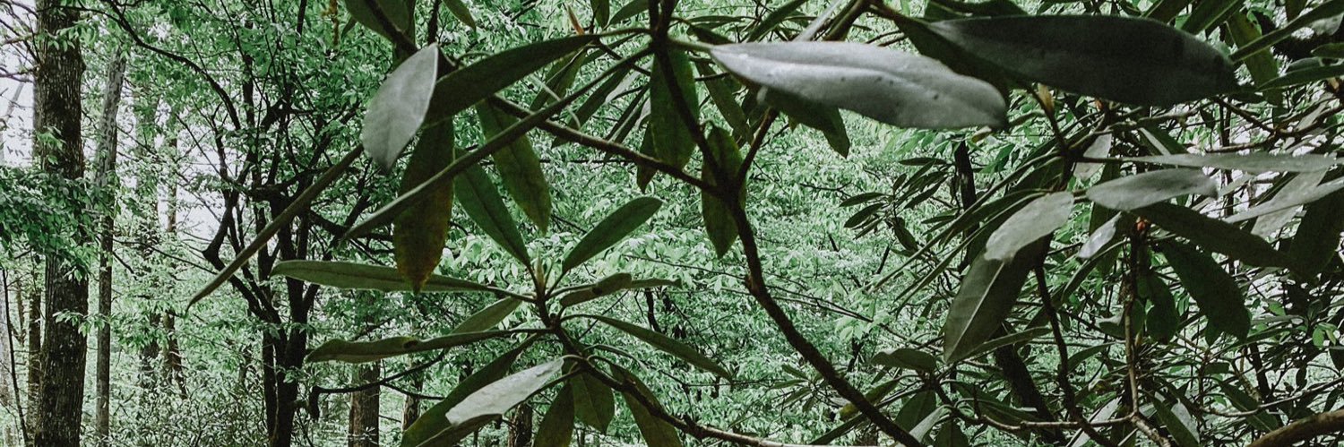 sarahmcclain22's profile banner image