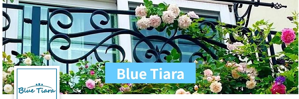 Tiara_Blue's profile banner image
