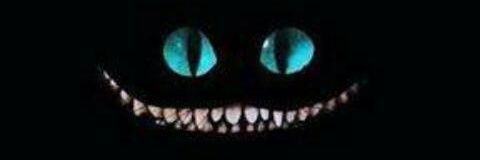 BarchaTapia's profile banner image
