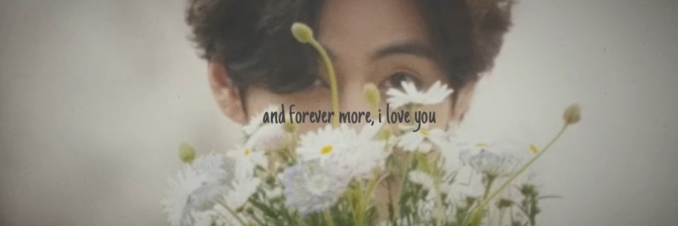 ρɾҽɱα✨ banner