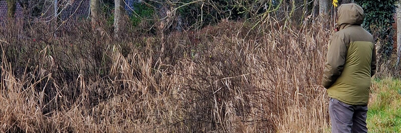 EddyNorder's profile banner image