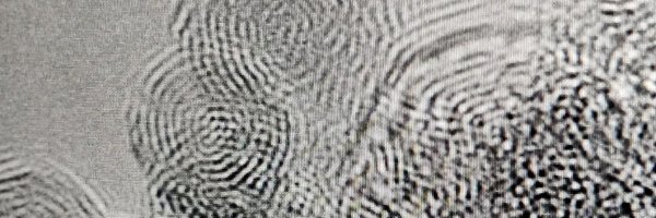 cuncilab Profile Banner