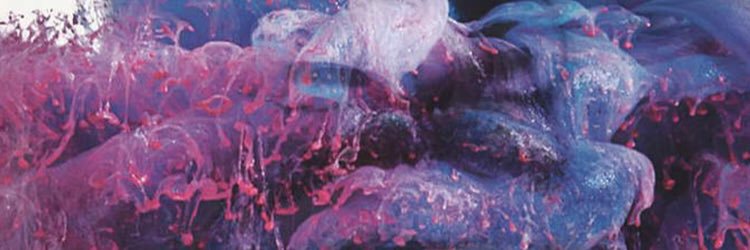 TM_Masson's profile banner image