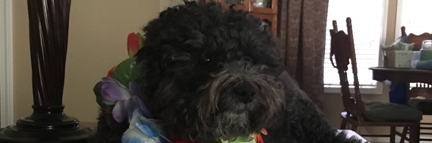 cooleyprest's profile banner image