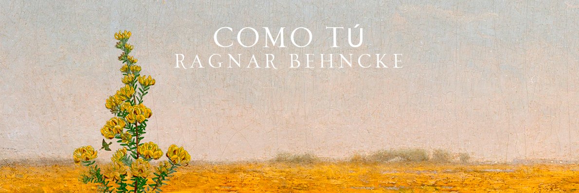 RagnarBehncke's profile banner image