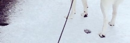 りょうか（まや） banner