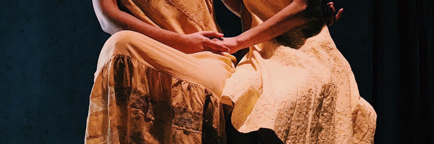 fanyvsilva's profile banner image