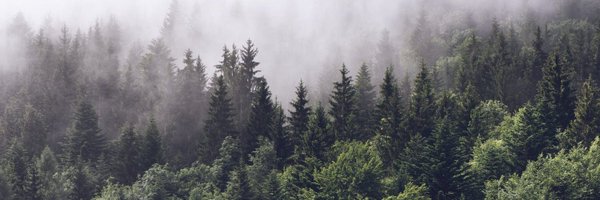 FabelF Profile Banner