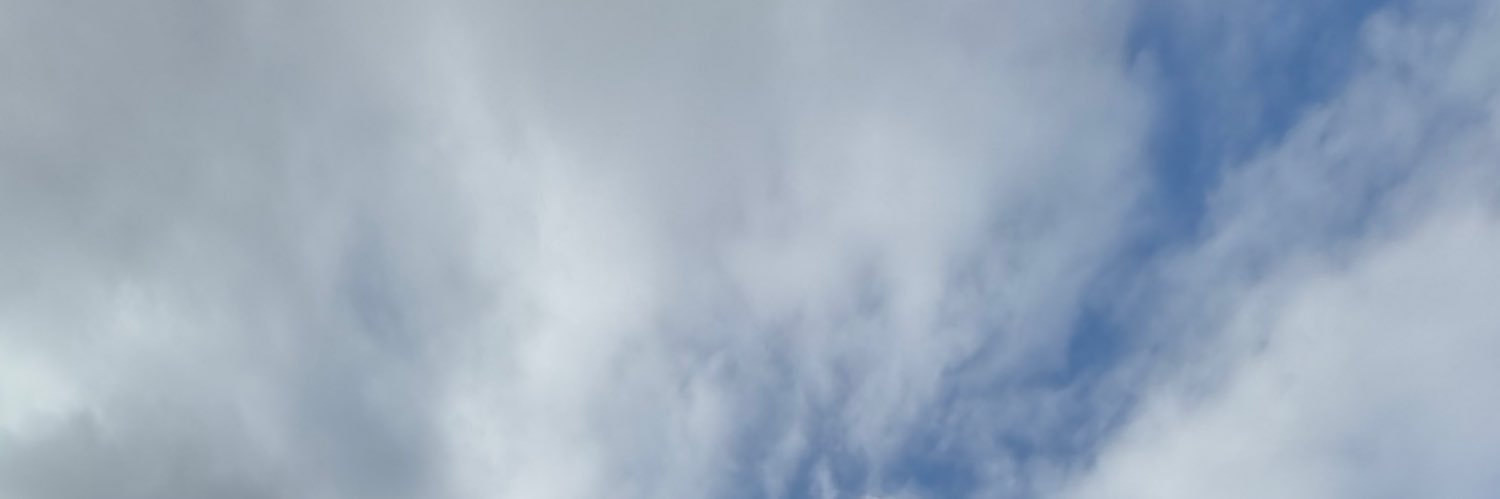 icynorah's profile banner image