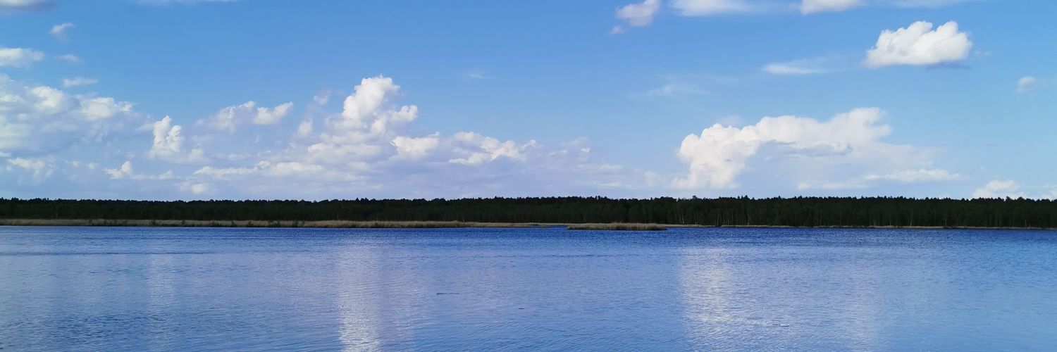 signeleimonte's profile banner image