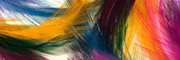 SahbaShz Profile Banner