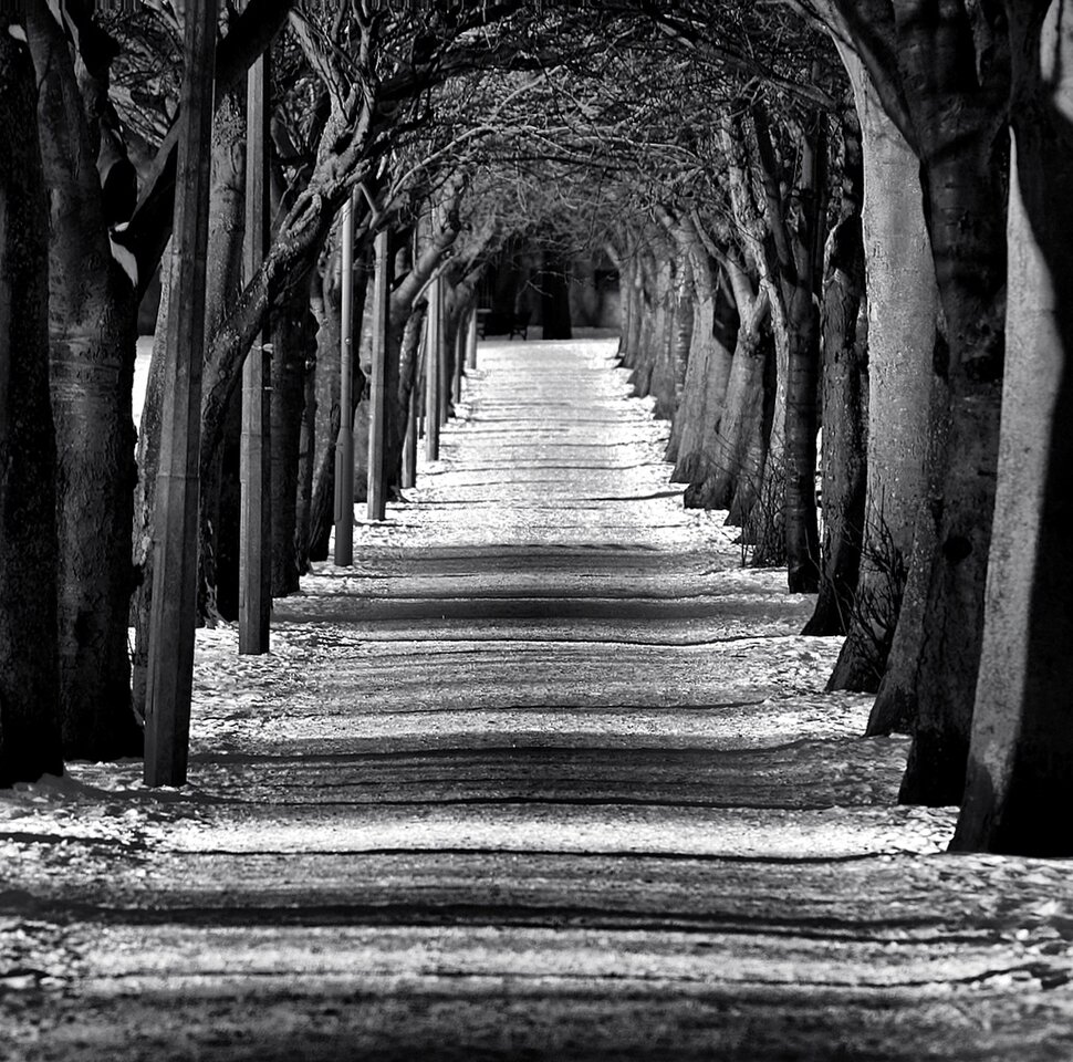linda_debower's profile banner image