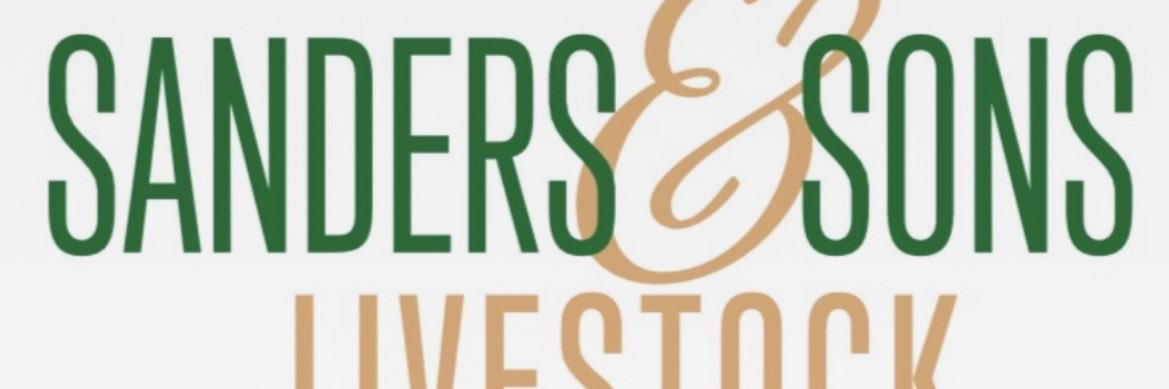 JenningsSanders's profile banner image