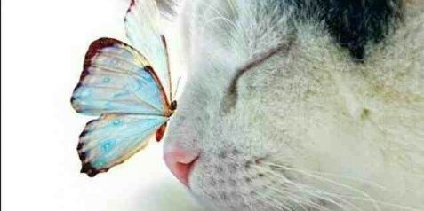 MimiBaBy254's profile banner image