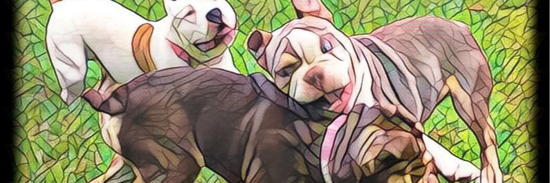 jimdog215's profile banner image