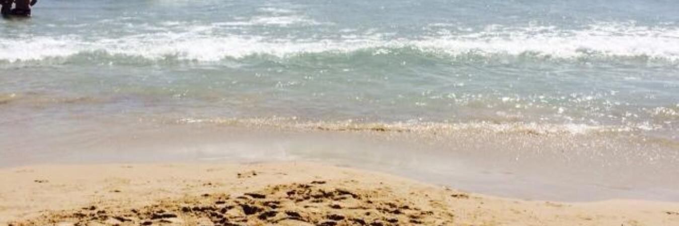 IreneFdez77's profile banner image