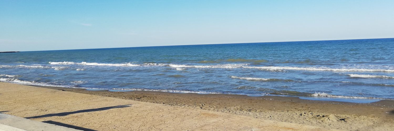 taylanzgr02's profile banner image