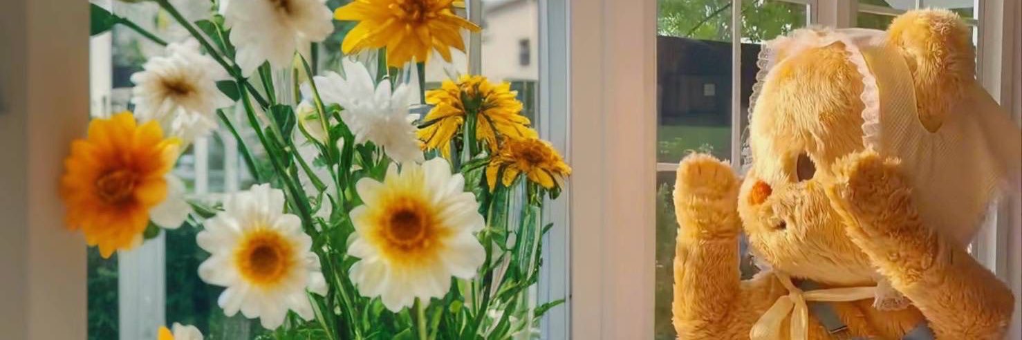 𝘋𝘦𝘢𝘳𝘫𝘯𝘦𝘸🌌✨ banner